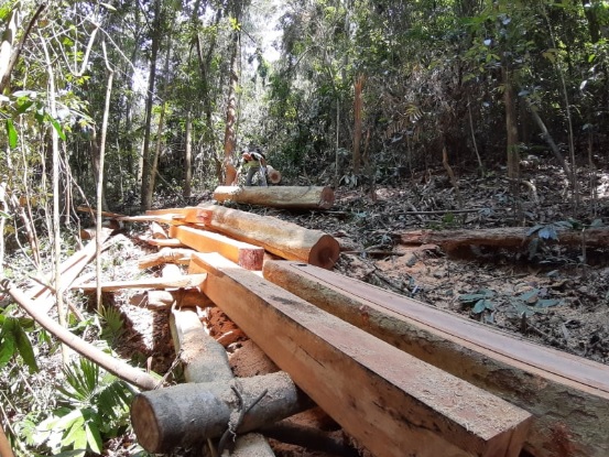 Thông tin từ đường dây nóng